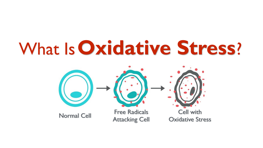 How Oxidative Stress Impacts Your Body