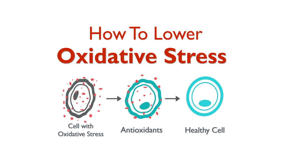 How To Reduce Your Body's Oxidative Stress